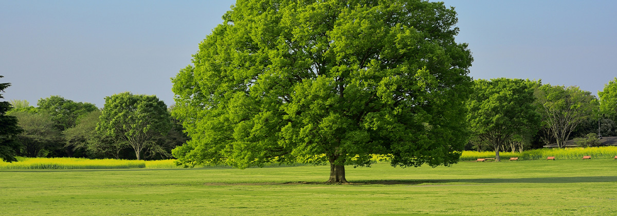 あんしん生命の商品