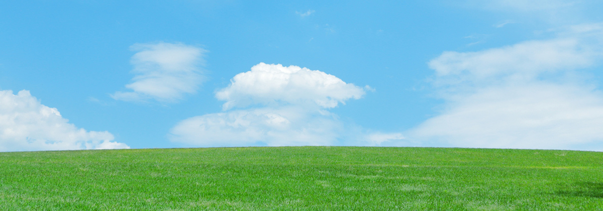 プライバシーポリシー